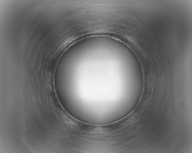 X0000078281265200611172047