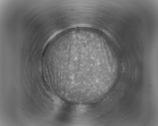 X0000078281266200611172047