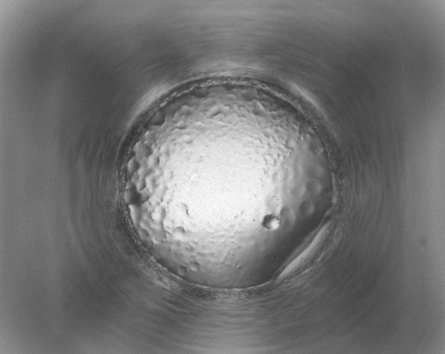 X0000078281267200611172047