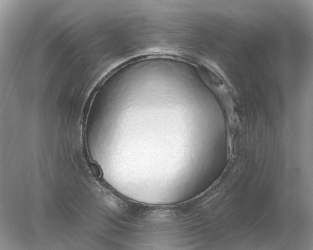 X0000078281268200611172047