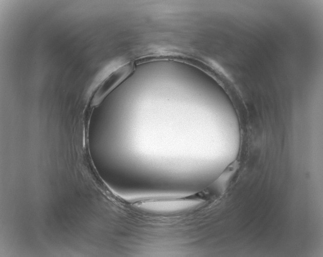 X0000078281269200611172047