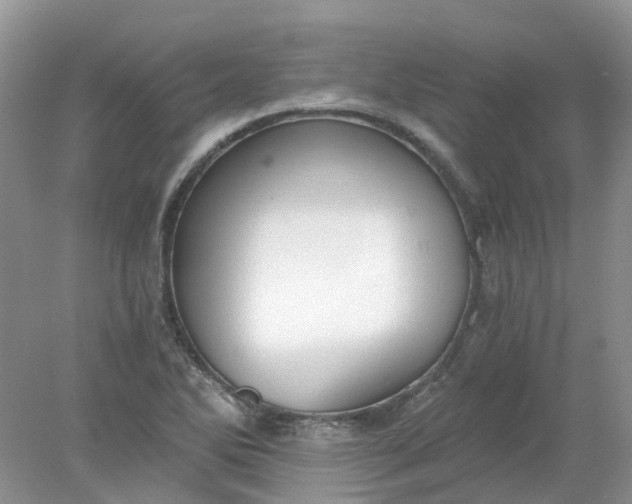 X0000078281270200611172047