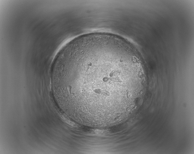 X0000078281271200611172047