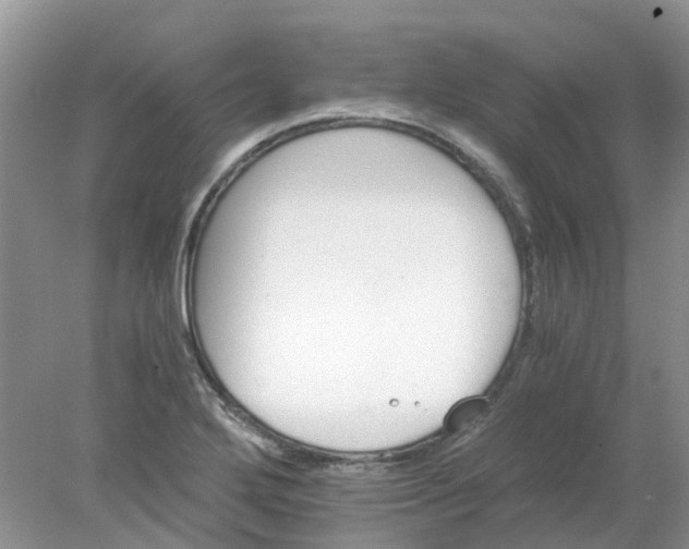 X0000078281272200611172047