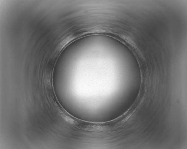 X0000078281273200611172047