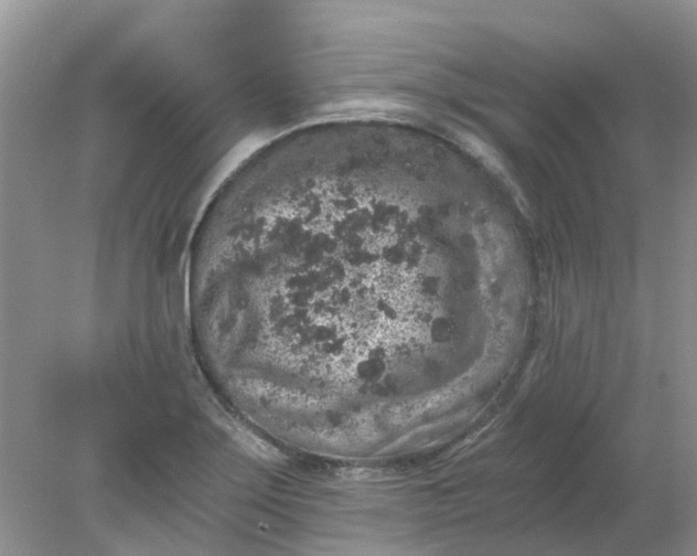 X0000078281275200611172047