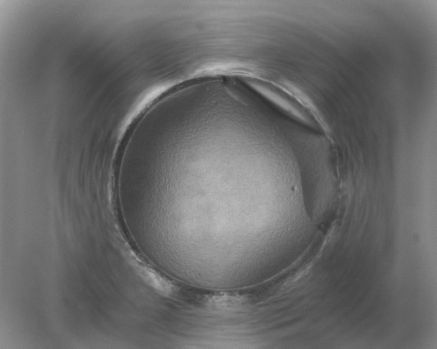 X0000078281277200611172047