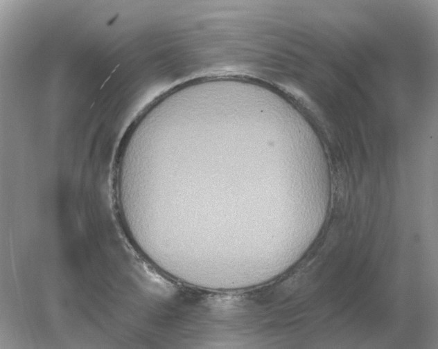 X0000078281278200611172047