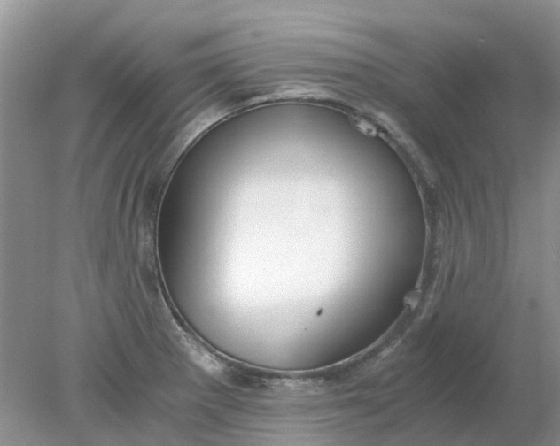 X0000078281281200611172047