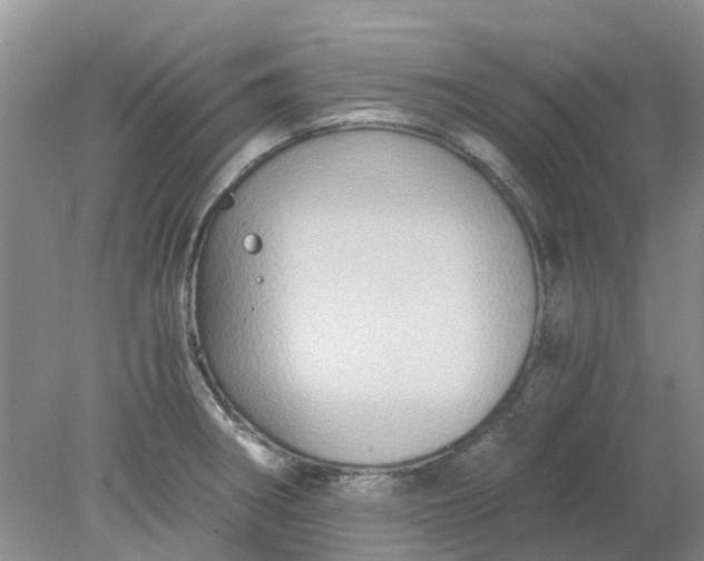 X0000078281282200611172047