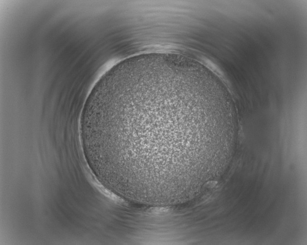 X0000078281283200611172047