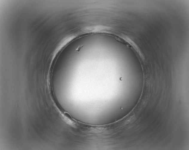 X0000078281285200611172047