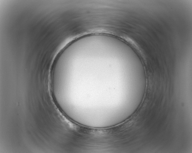 X0000078281286200611172047