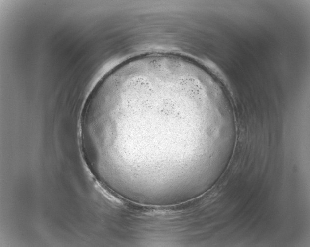 X0000078281287200611172047