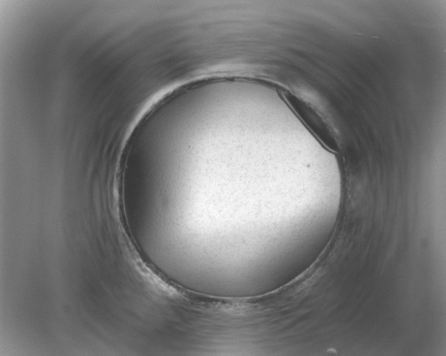 X0000078281288200611172047