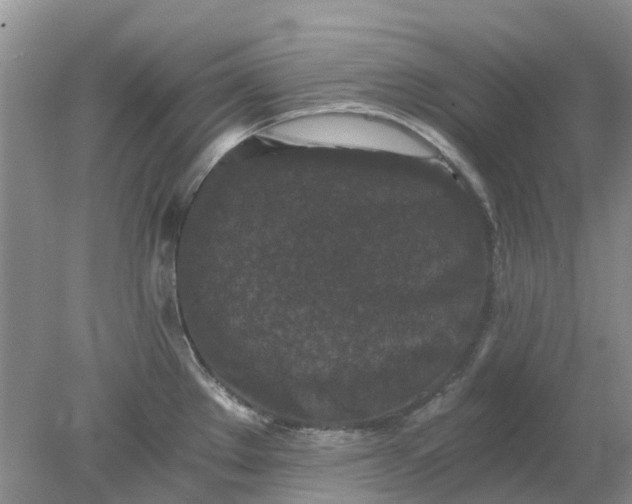 X0000078281289200611172047