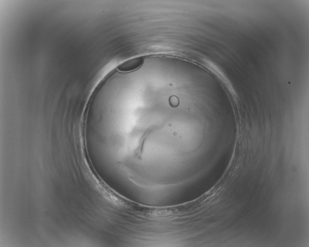 X0000078281291200611172047