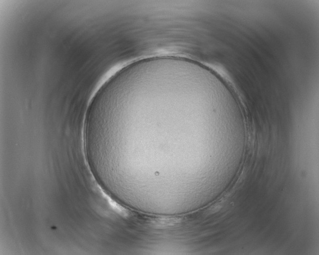 X0000078281294200611172047