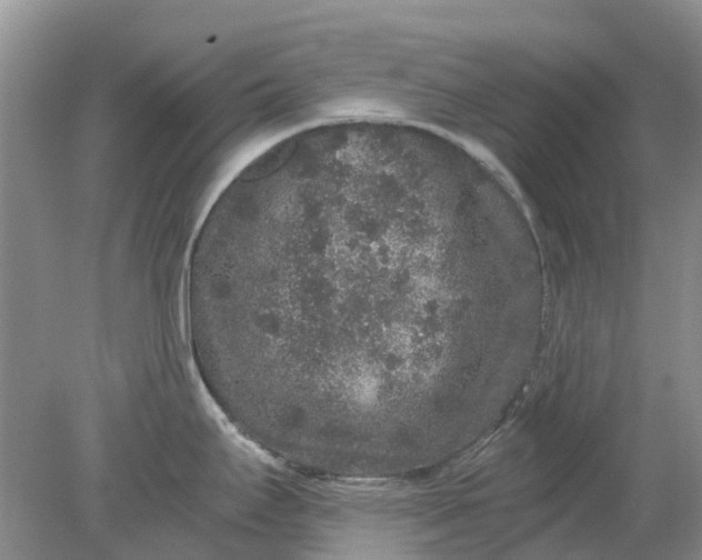 X0000078281295200611172047