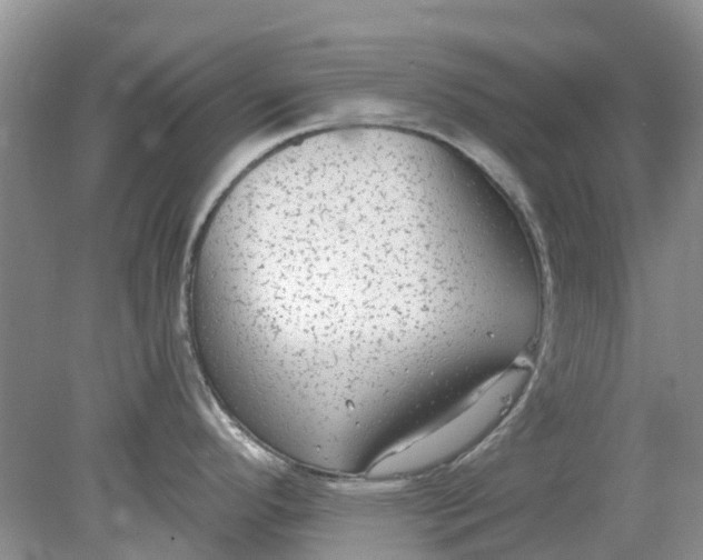 X0000078281296200611172047