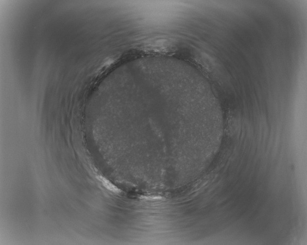 X0000078281297200611172046