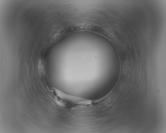 X0000078281298200611172046