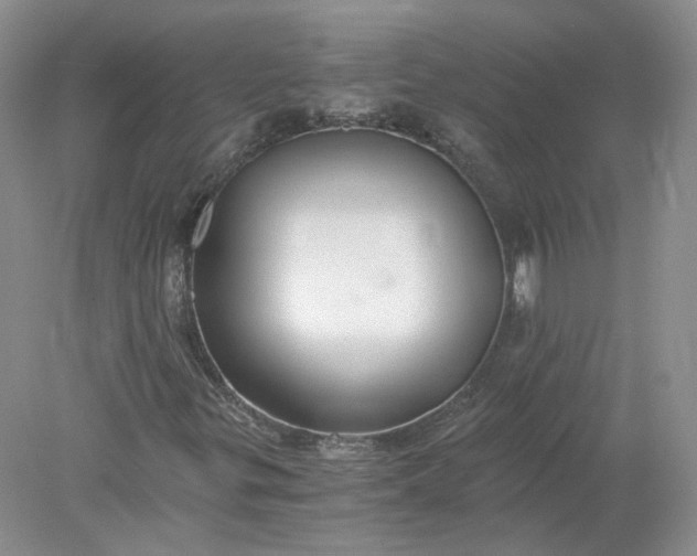 X0000078281299200611172046