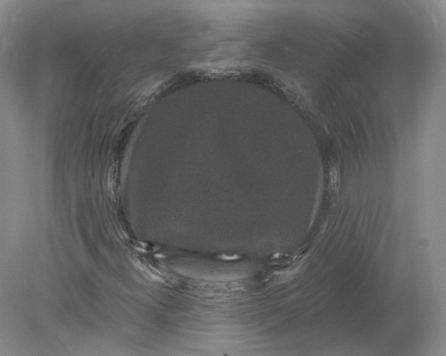 X0000078281300200611172046