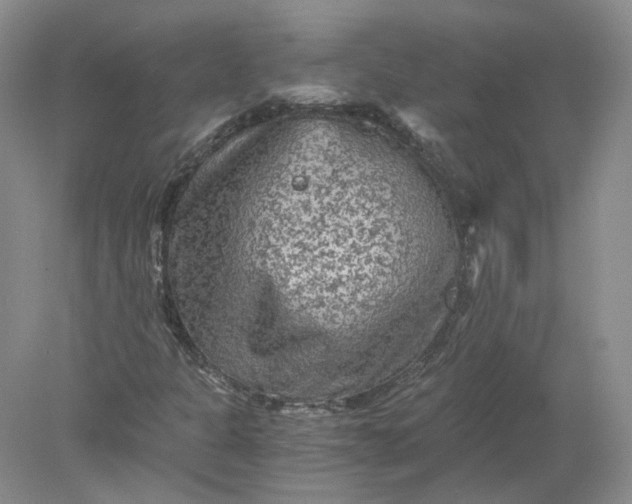 X0000078281301200611172046