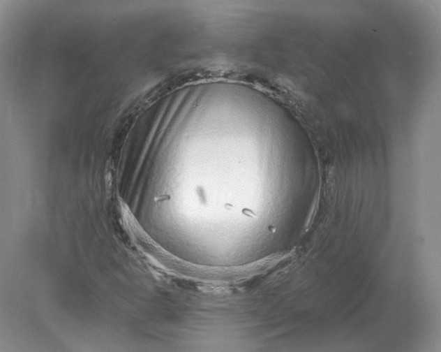 X0000078281302200611172046