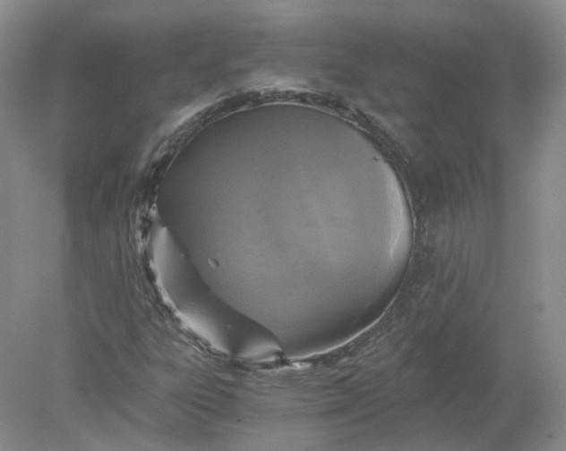 X0000078281303200611172046