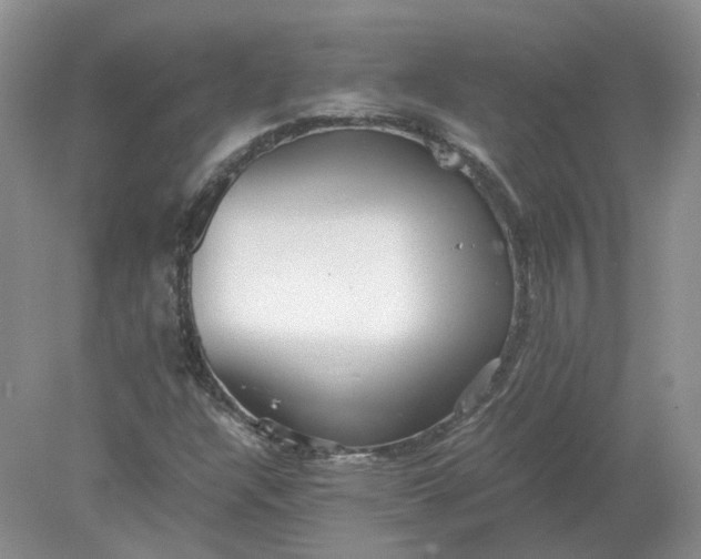 X0000078281304200611172046