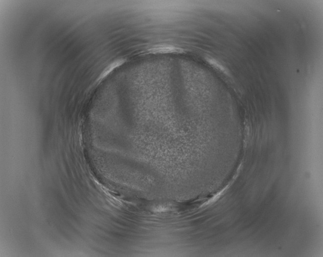 X0000078281305200611172046