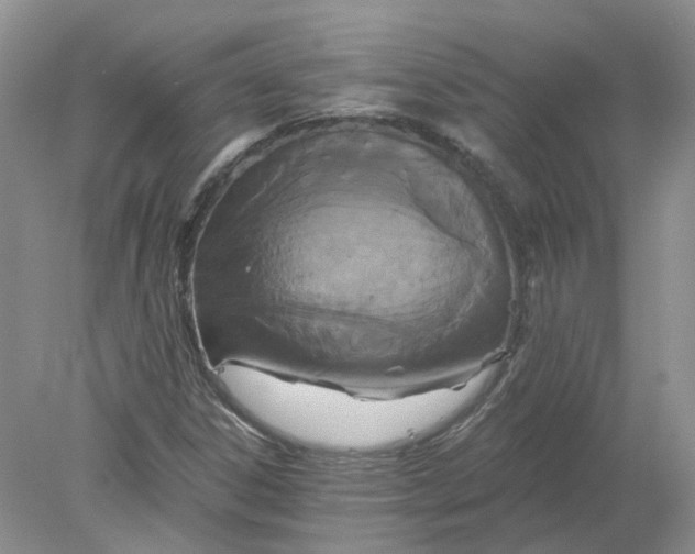 X0000078281306200611172046