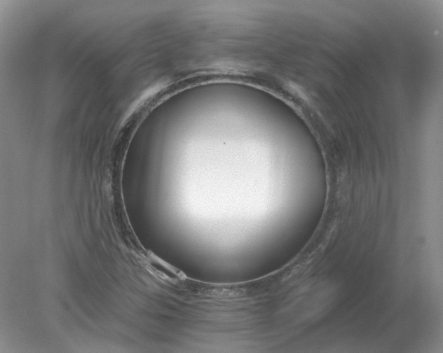 X0000078281307200611172046