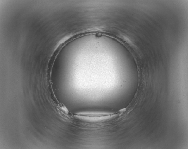 X0000078281308200611172046