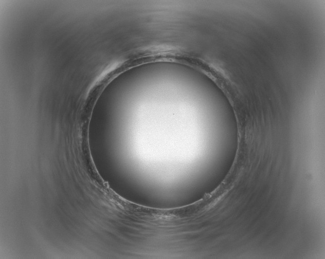 X0000078281309200611172046