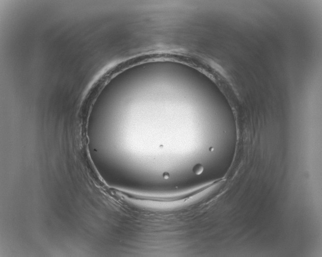 X0000078281310200611172046