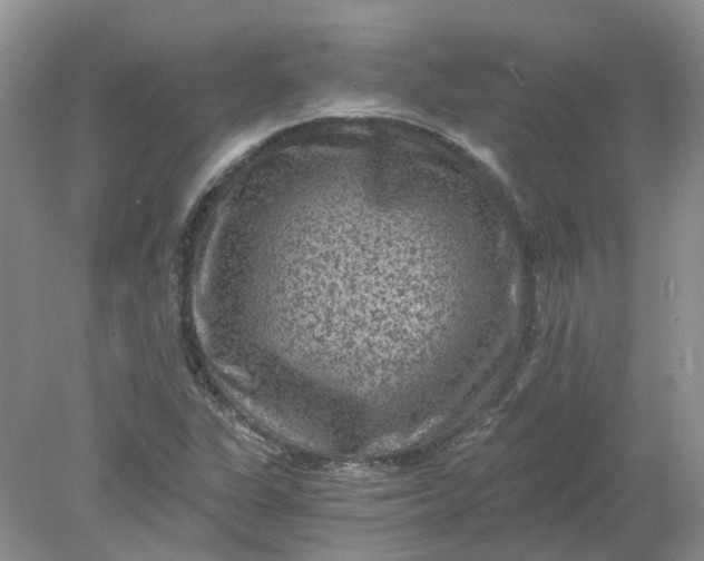 X0000078281311200611172046