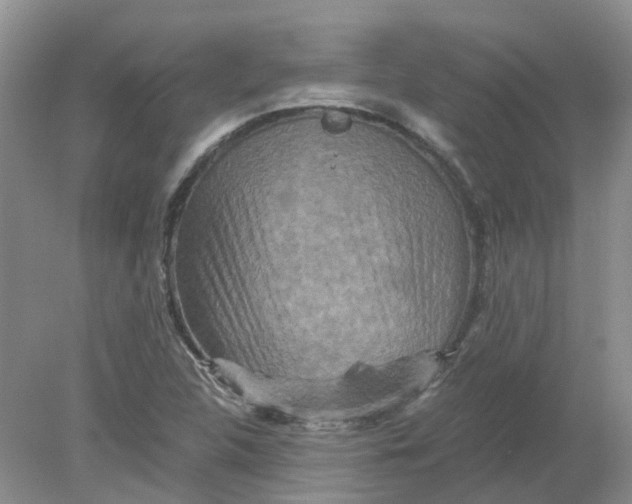 X0000078281312200611172046