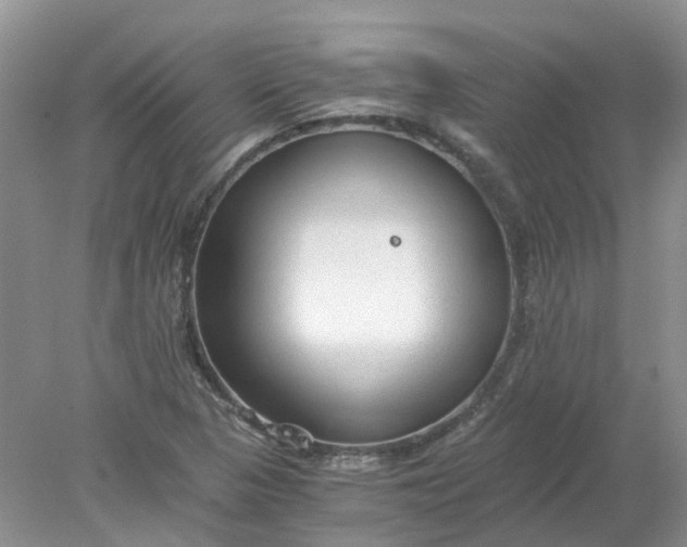 X0000078281313200611172046