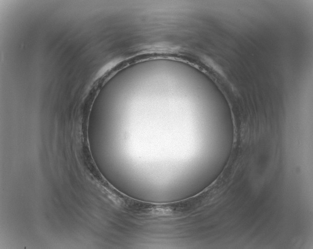 X0000078281315200611172046