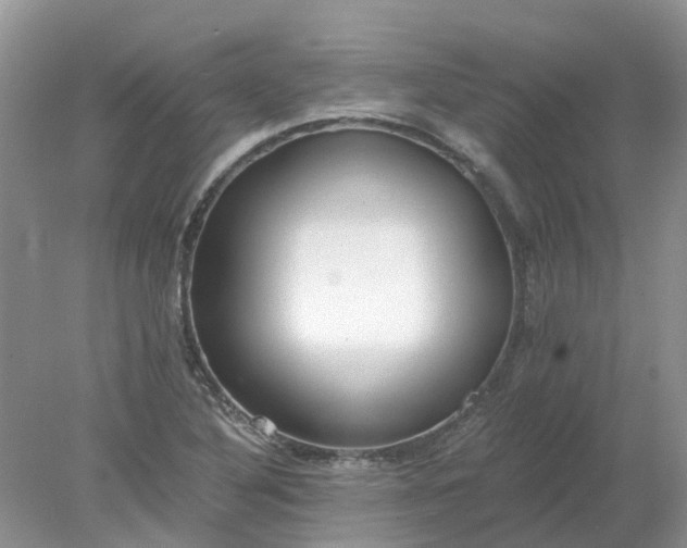 X0000078281316200611172046