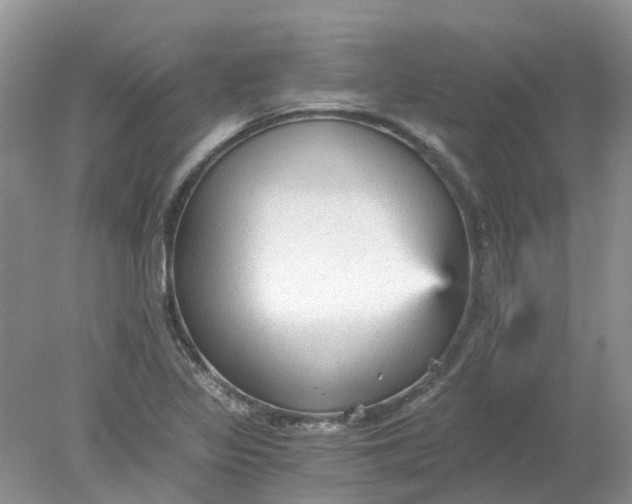 X0000078281317200611172046