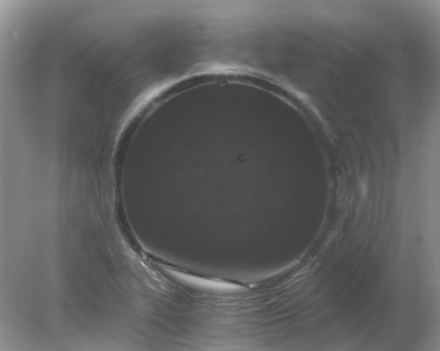 X0000078281319200611172046