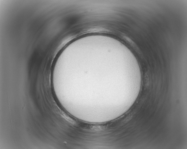 X0000078281322200611172046