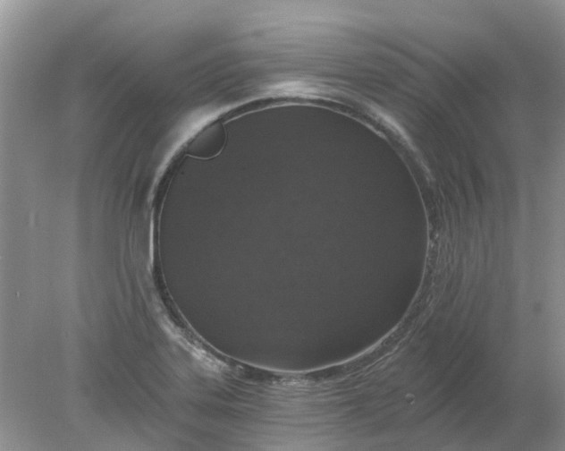 X0000078281323200611172046