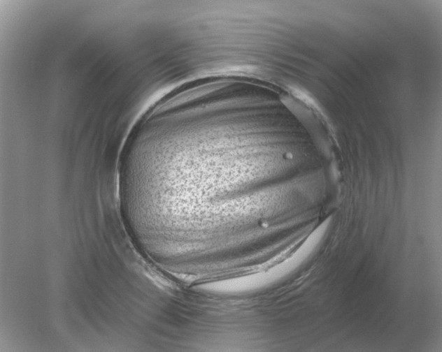 X0000078281324200611172046