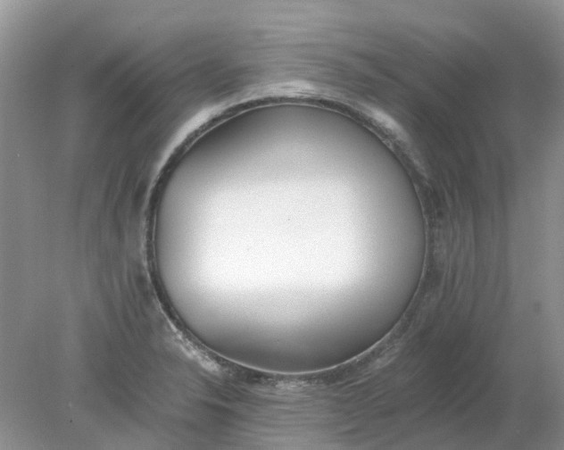 X0000078281326200611172046