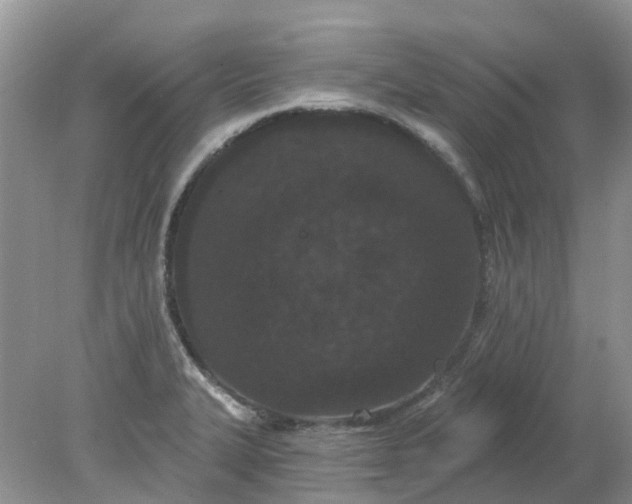 X0000078281327200611172046